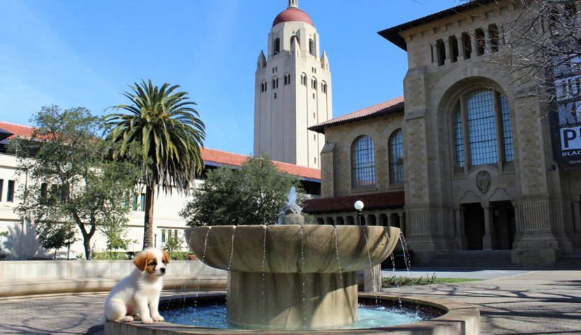 Dog Fountain